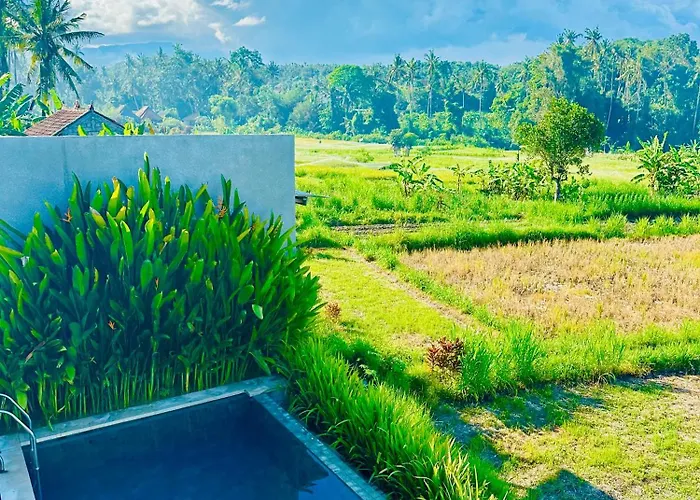 Balisen Luxury Villa